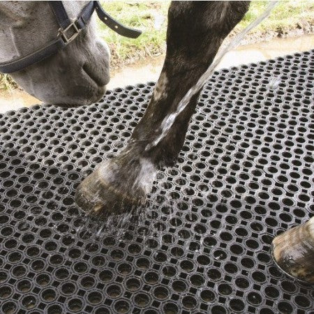 The Best Stable Mats UK: What Horse Owners Need to Know