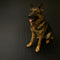 Kennel Flooring