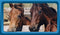 Horse & Stable Mats
