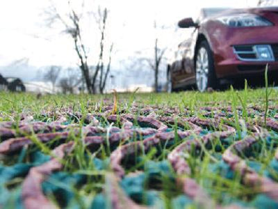 Horticultural and Ground Reinforcement