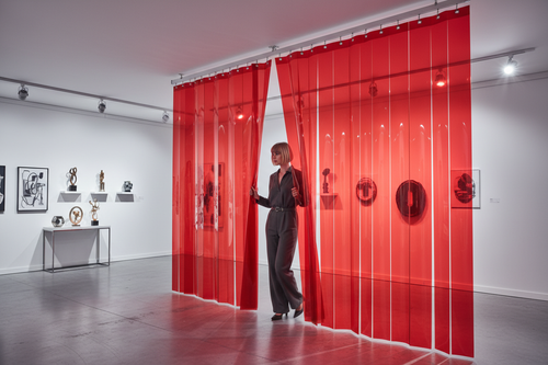 Red Exhibition Strip Curtains Kit | Creative Event Space Divider