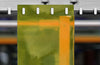 Transparent Yellow